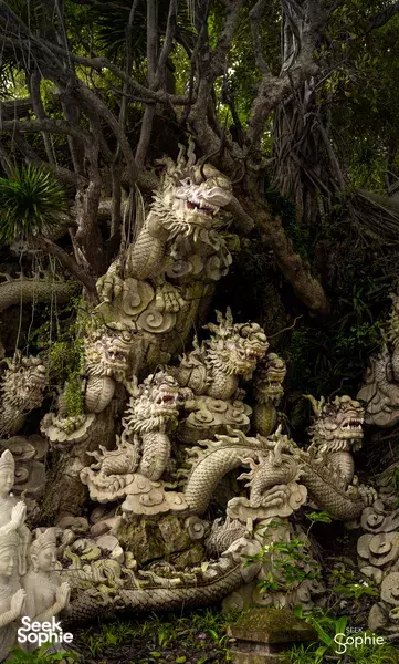 观察世界上最稀有的灵长类动物之一 | 由专家自然学家带领
