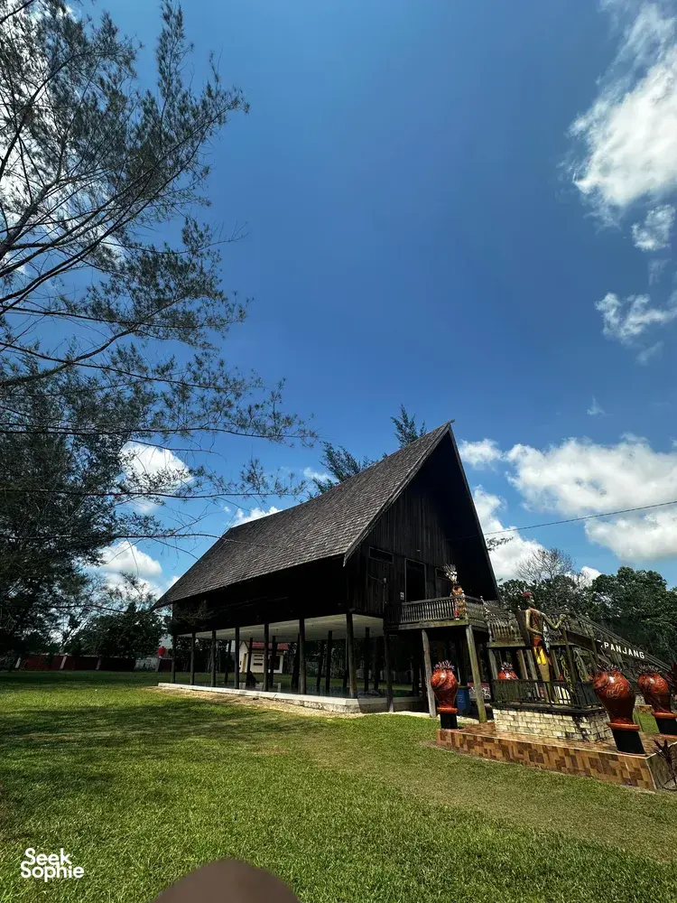 Seek Sophie option picture