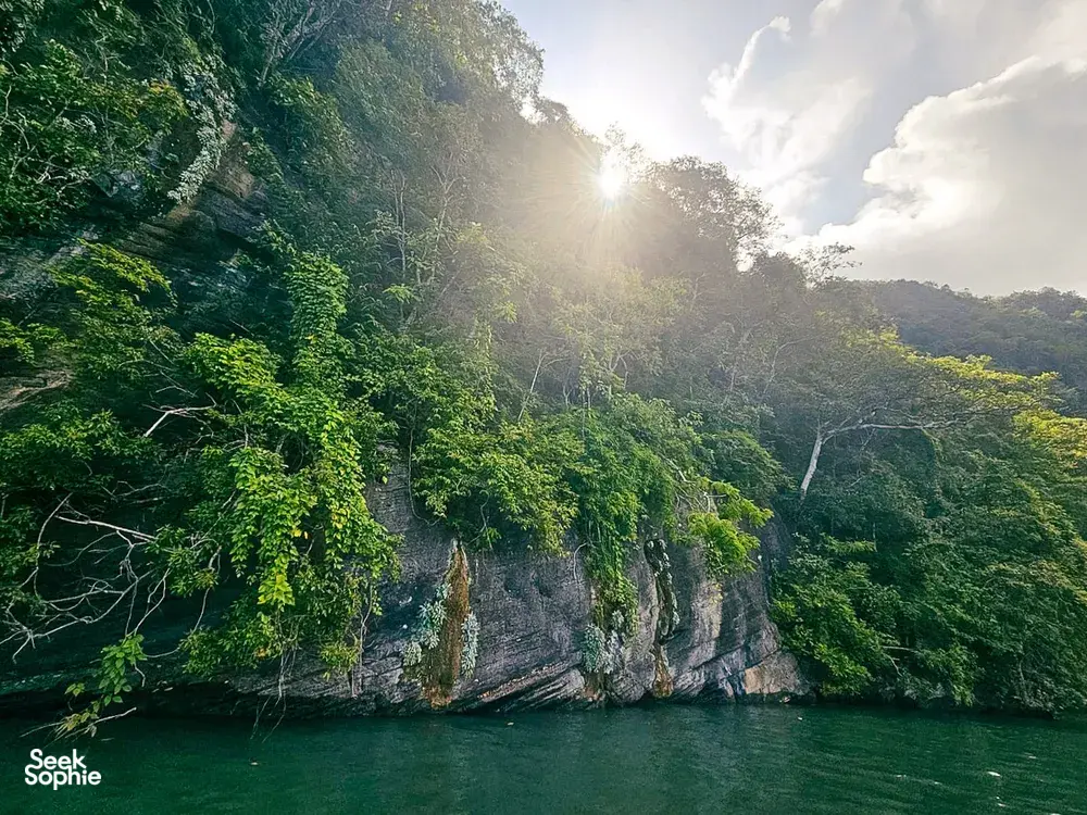 Sunlit rainforest and towering limestone cliffs along the water on Langkawi’s Tanjung Rhu UNESCO Geopark cruise