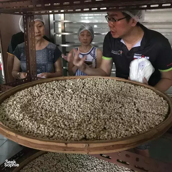 Get Up Close with Singapore's Disappearing Trades