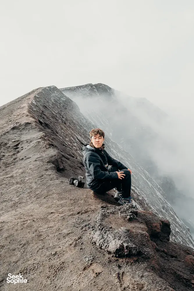 Seek Sophie option picture