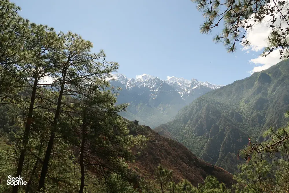 Snowy mountain ridgeline and green pine forest over Tiger Leaping Gorge high trail on a 2D1N hike from The Bivou Lijiang