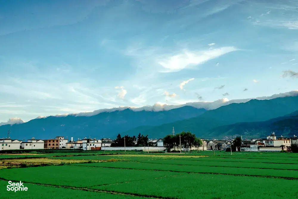 Sawah hijau, bangunan halaman putih, dan pergunungan di kejauhan di bawah langit biru di Dali, Yunnan