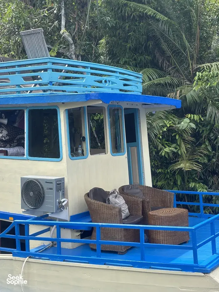 Seek Sophie option picture