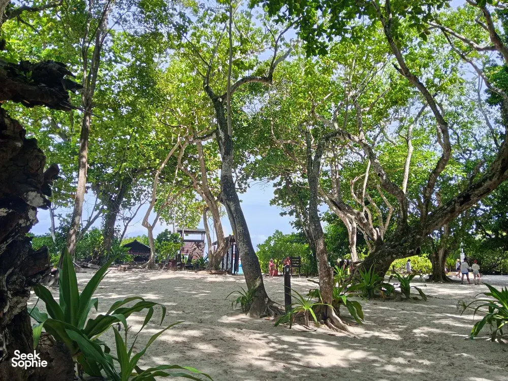 Seek Sophie option picture