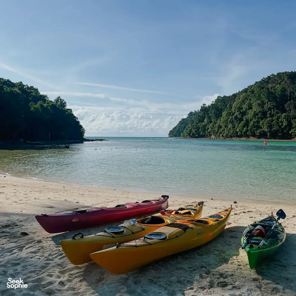 Seek Sophie option picture