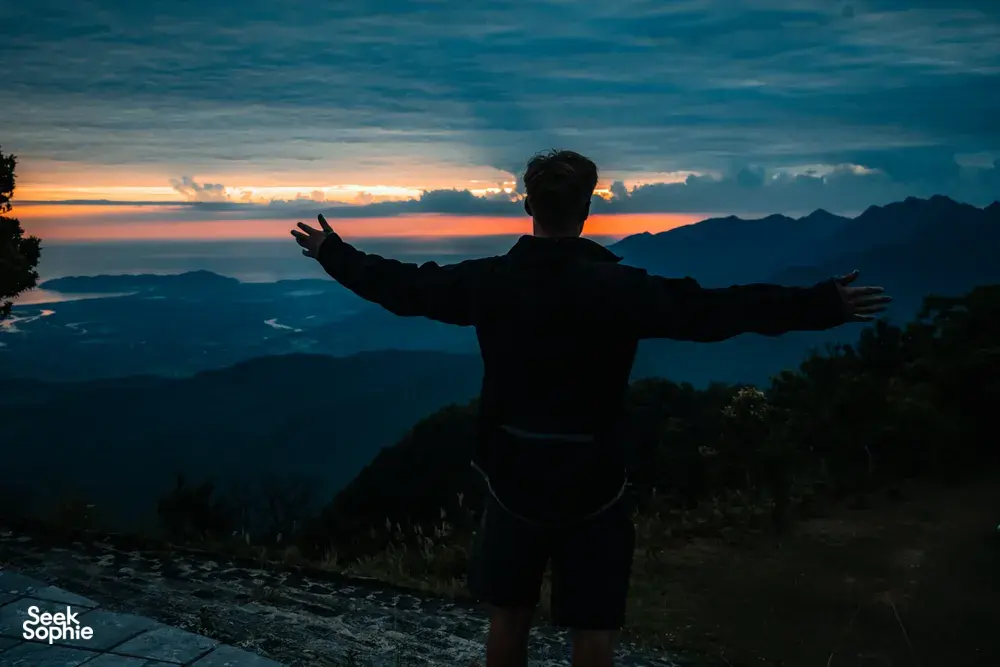 Seek Sophie option picture