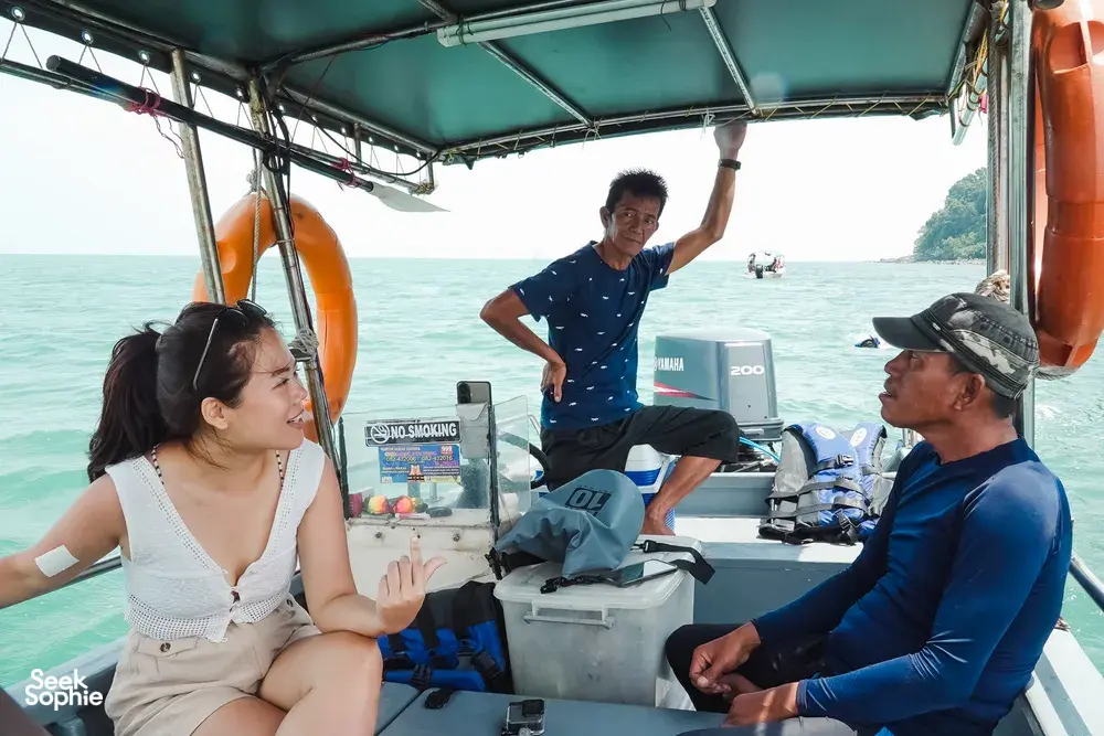 Seek Sophie option picture