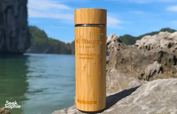 Seek Sophie option picture