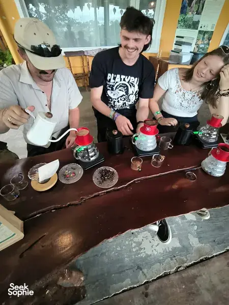 大叻有机咖啡品鉴,来自农夫的体验