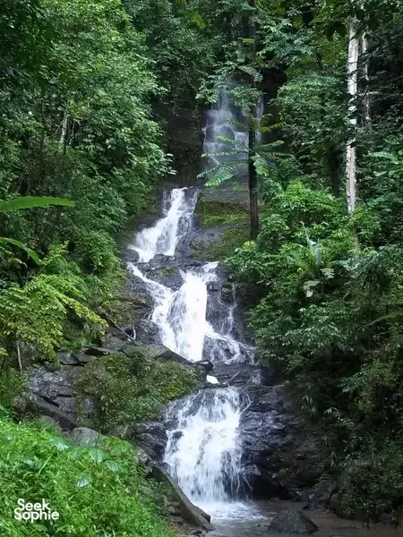 Vertical waterfall cascading through dense green rainforest on a jungle trek with former poachers in Khao Sok National Park