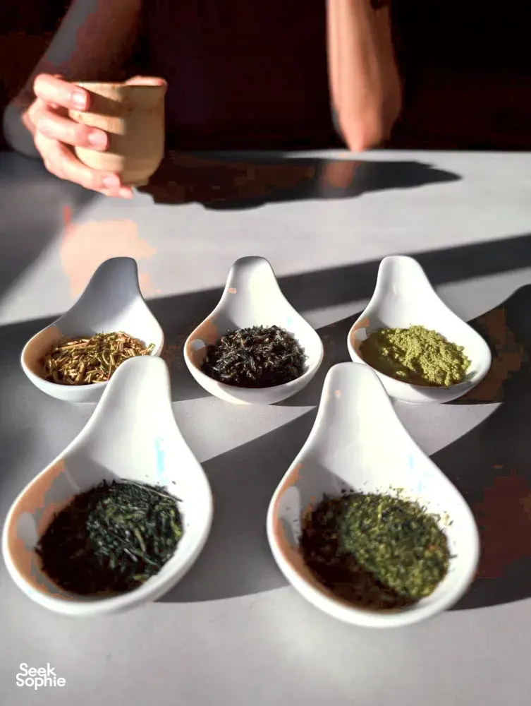 Seek Sophie option picture