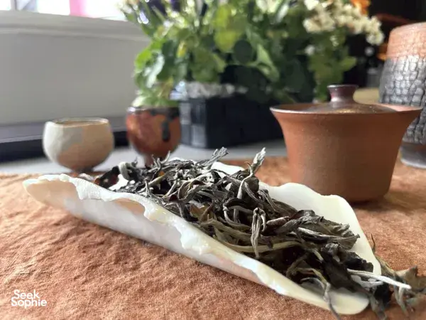 A Secret Omakase Tea Tasting in Cosy Singapore Home