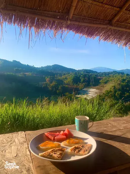 2D1N Ethical Elephant Observation with Doi Inthanon Hike & Night Under the Stars