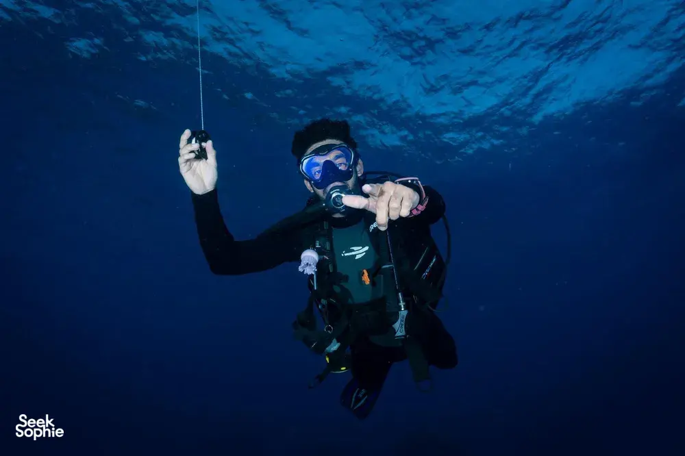 Seek Sophie option picture