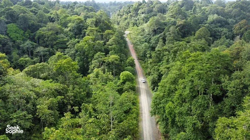 Seek Sophie option picture