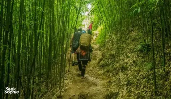 2-in-1 Ultimate Sapa Adventure: Fansipan & Sapa Rice Terrace Trek