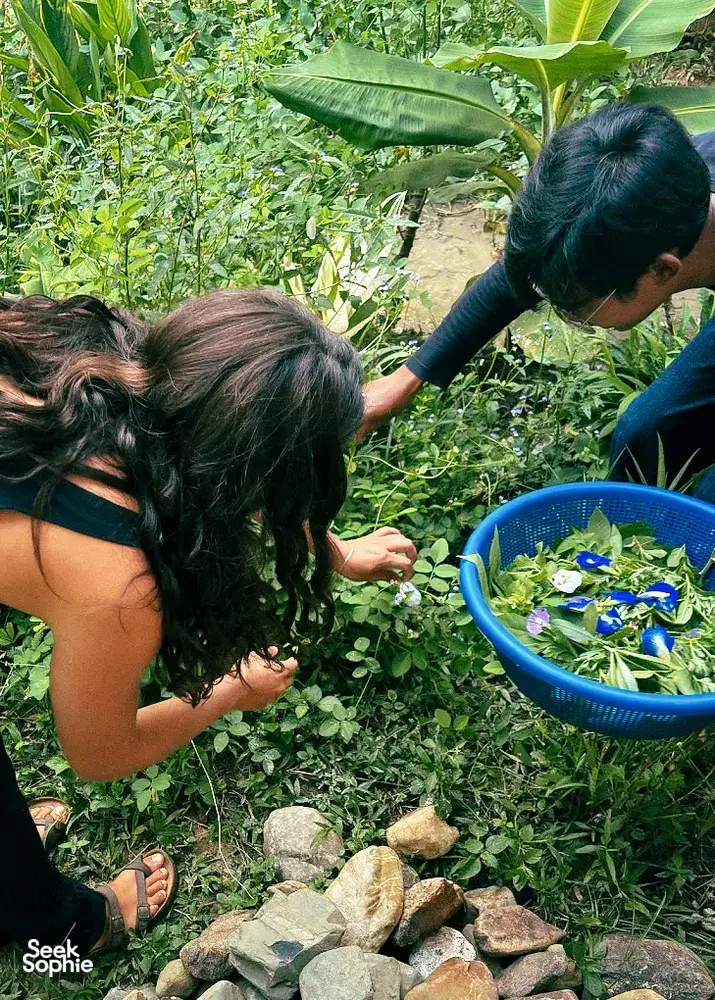 Kebun Lidstari gardeners harvesting herbs and flowers from a lush permaculture garden, Langkawi farmstay kitchen garden