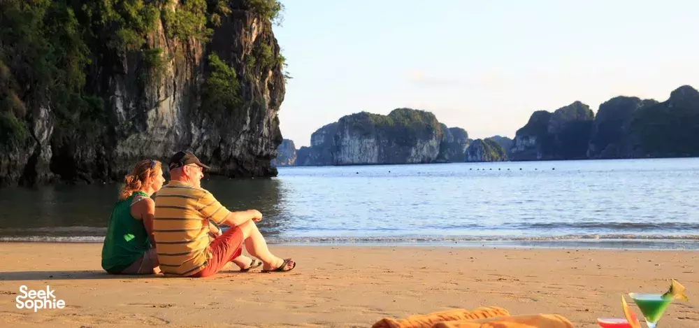 Seek Sophie option picture