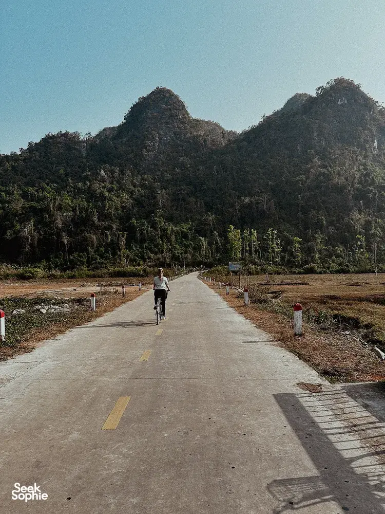 Seek Sophie option picture