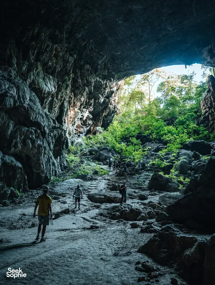 Seek Sophie option picture