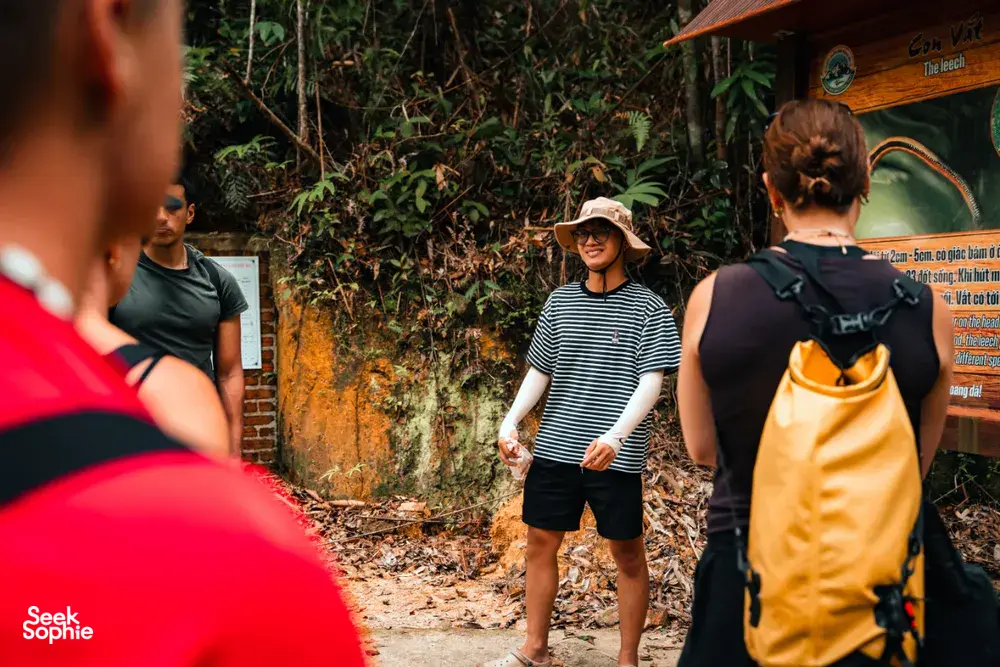 Seek Sophie option picture