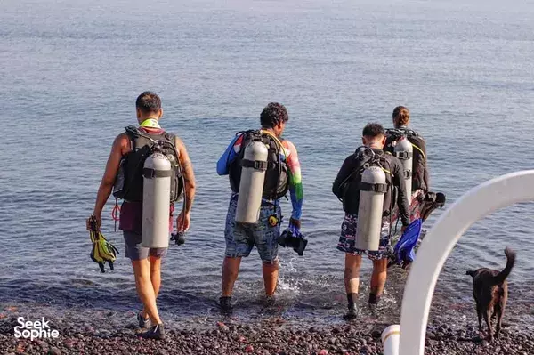 1 Week Tulamben Coral Reef Restoration Program