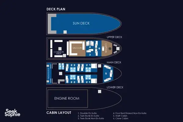5天4夜安达曼海潜水船之旅 | 15次潜水体验