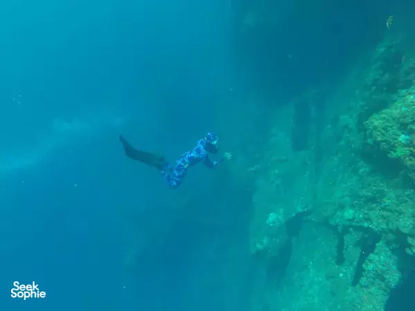 Discover Freediving @ The Southern Islands