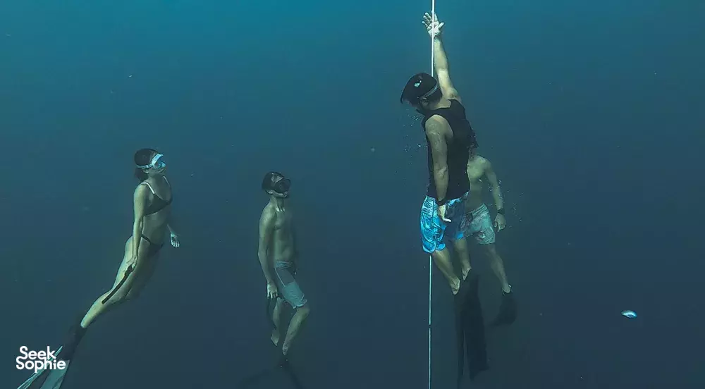 Seek Sophie option picture