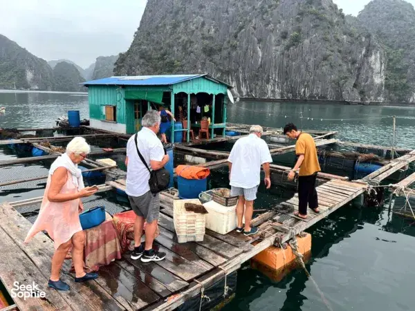 Passengers on a wooden cruise deck watching limestone karsts as the boat sails across calm water near Cat Ba in Lan Ha Bay