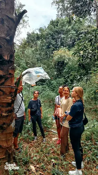 Travellers stand on a forest trail in Lombok beside dense jungle foliage during the Lombok Forest Tour forest walk