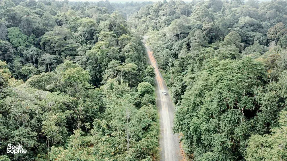 Seek Sophie option picture