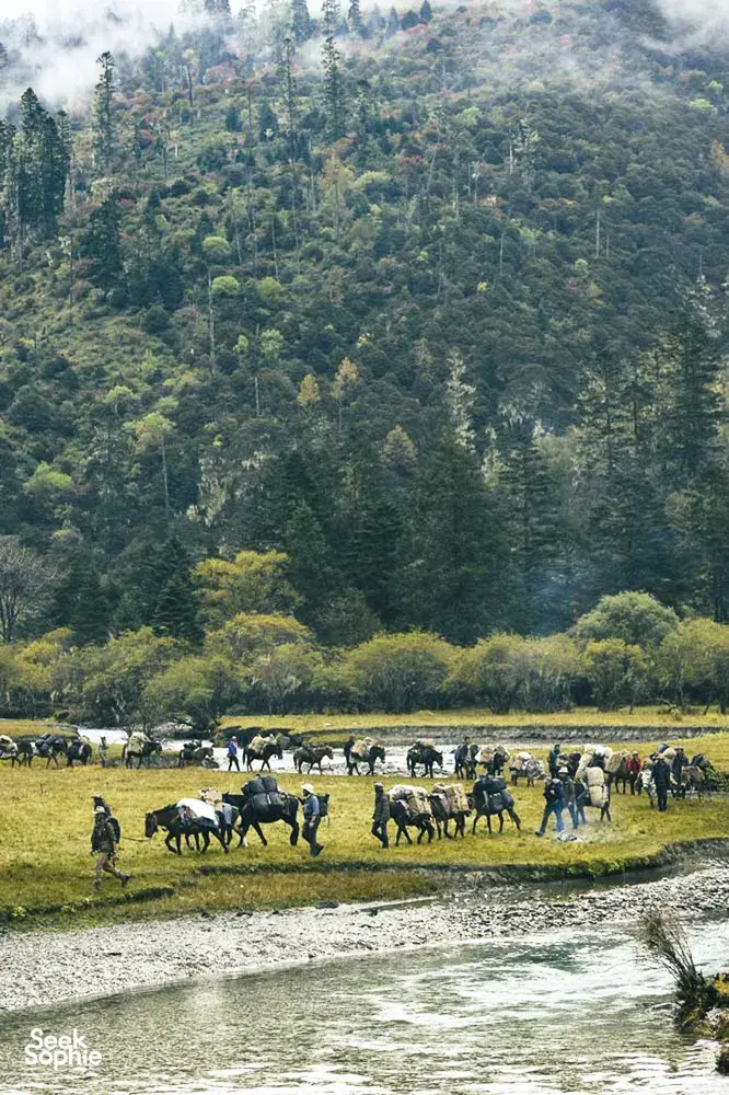 Caravan of pack animals and travellers walking along a river edge through a misty, forested mountain valley near Shangri-La
