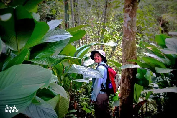 Waterfall Trekking Day trip