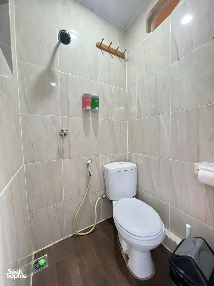 Seek Sophie option picture