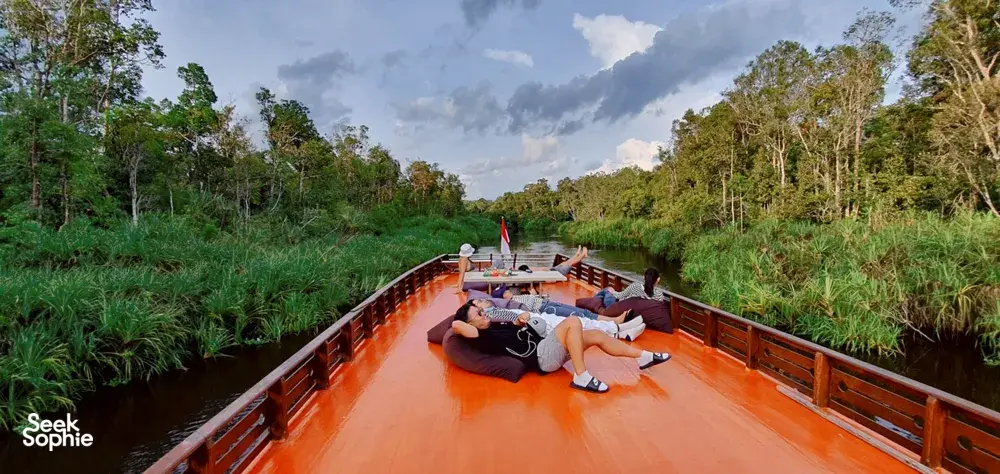 Seek Sophie option picture