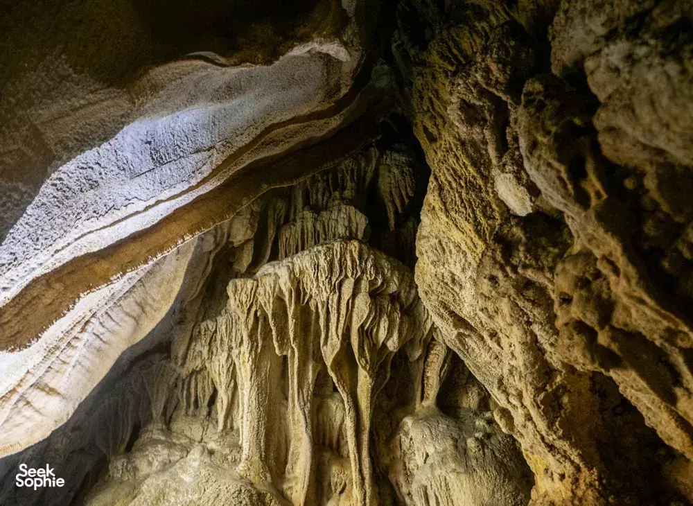 Seek Sophie option picture