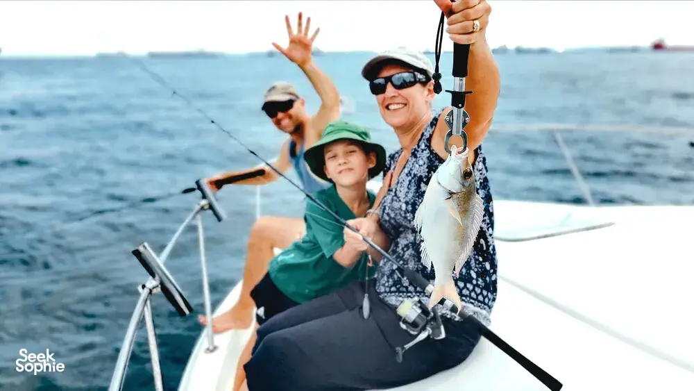 Seek Sophie option picture