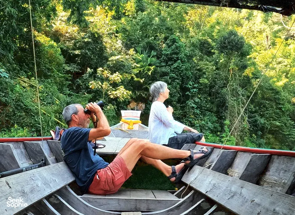 Seek Sophie option picture