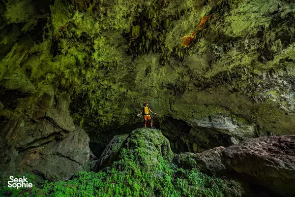 3D3N Phong Nha Jungle Trek to World’s 4th Largest Cave & Kong Sinkhole in the Tiger Cave System