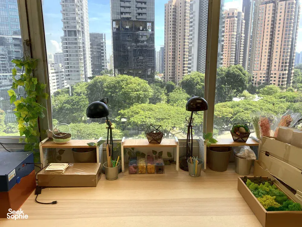 Seek Sophie option picture