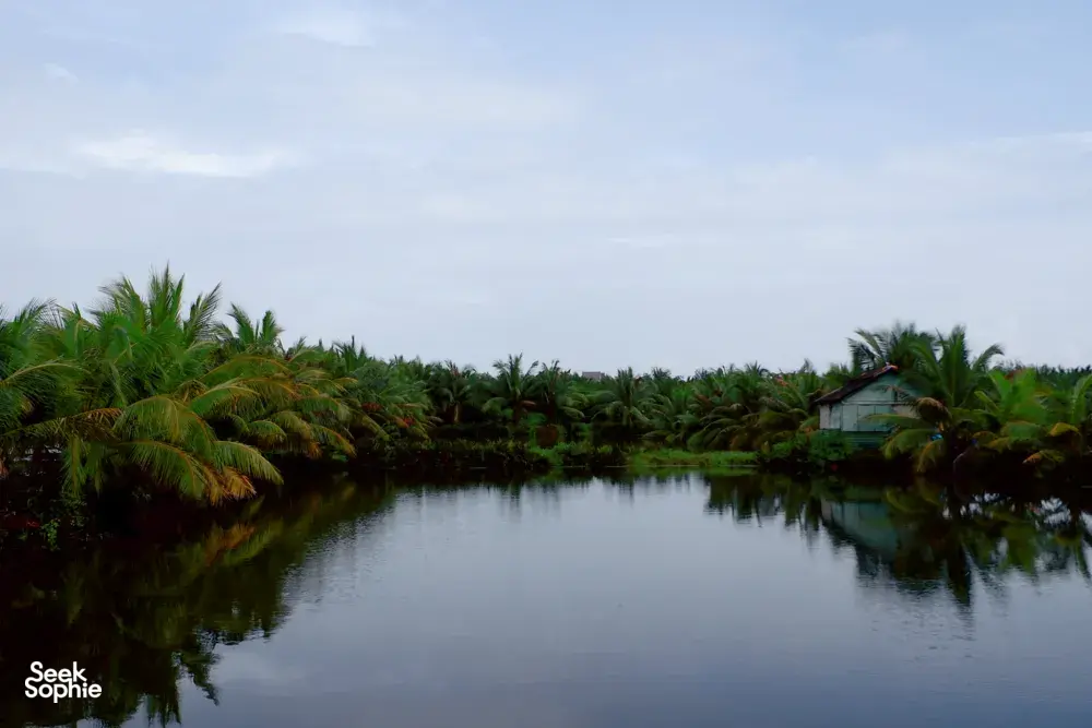 Seek Sophie option picture