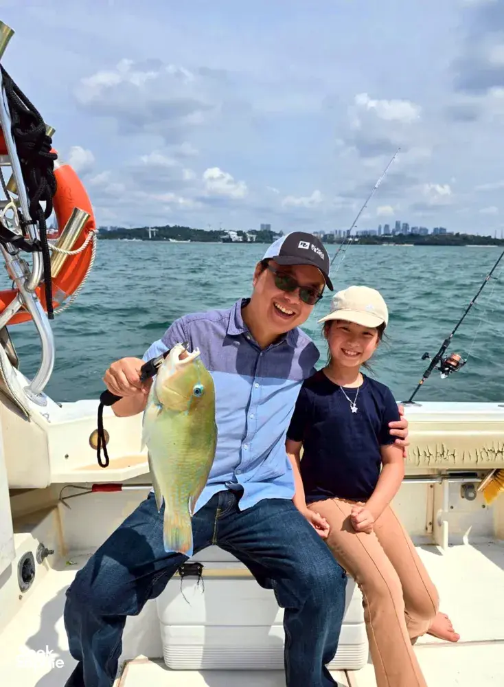 Seek Sophie option picture