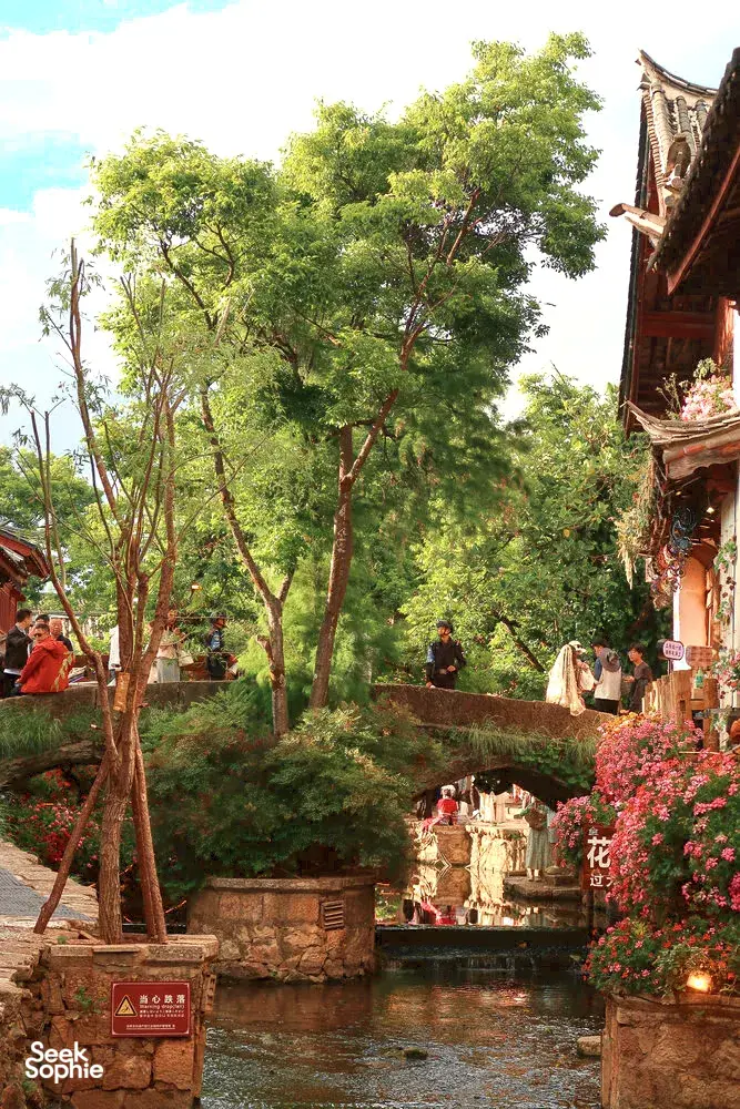 Stone canal beside flowering gardens and trees in Shuhe Ancient Town, Lijiang, with visitors relaxing along the water