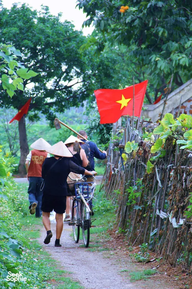 Conical-hat travellers cycling along a village path beside vegetables at Duong Lam ancient village near Hanoi during rice farming
