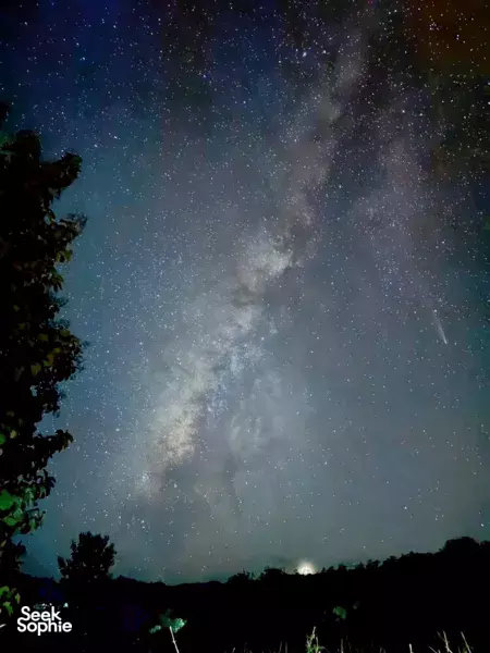 清道 2天1夜树屋度假 | 隐秘徒步 + 阿萨姆红茶体验