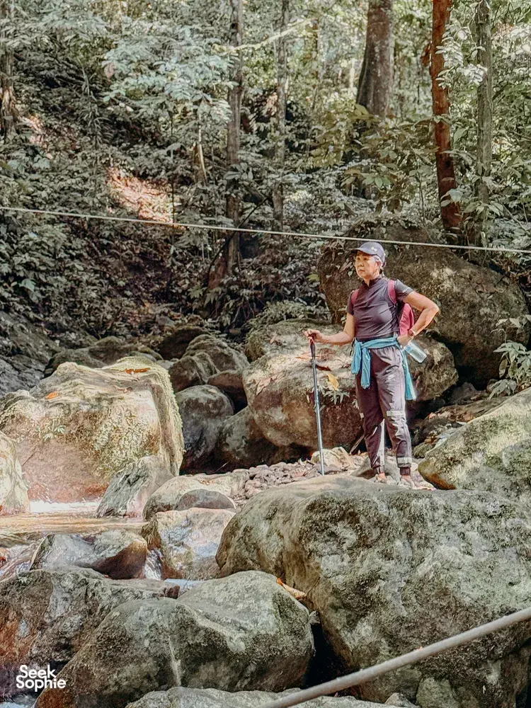 Seek Sophie option picture