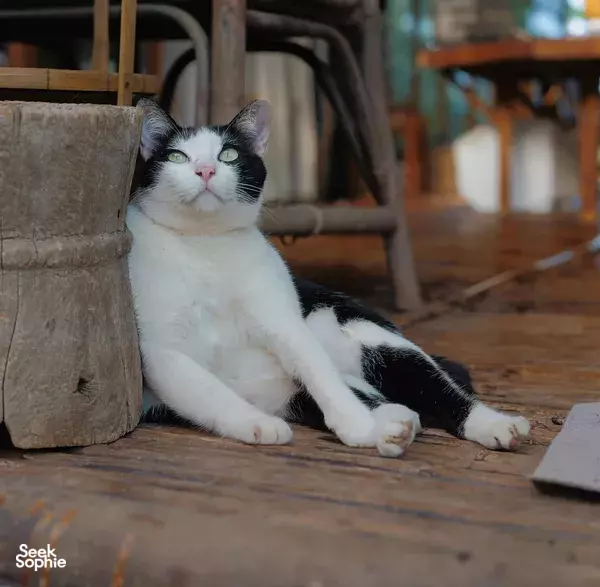 3D2N Chiang Dao Slow Living Farmstay | Retreat of Soul & Nature
