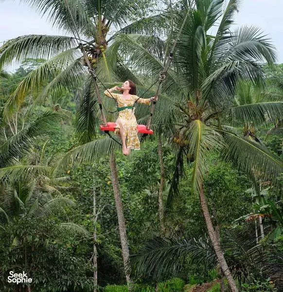 Ubud Private Tour: Waterfall, Rice Terraces & Monkey Forest